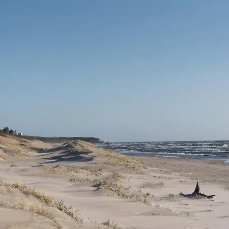 V7 * Palanga